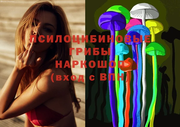 a pvp Армянск