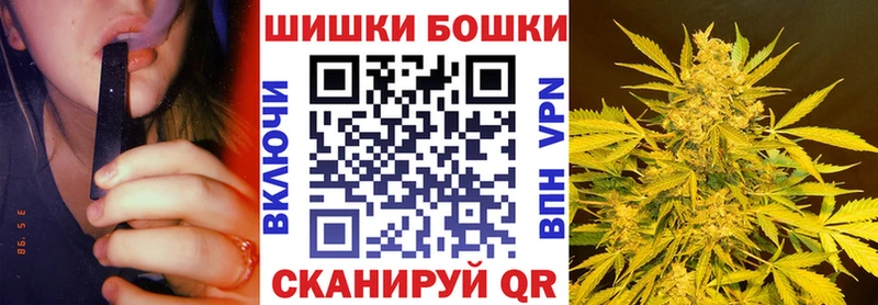 Бошки Шишки SATIVA & INDICA  где можно купить наркотик  Спасск 